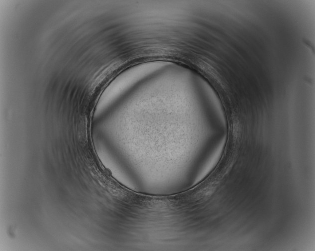 X0000100870781200807111317