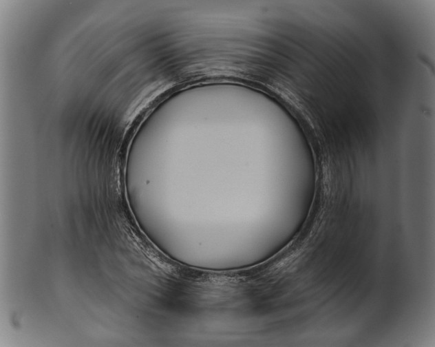 X0000100870782200807111317