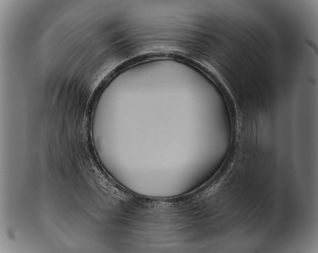 X0000100870783200807111317