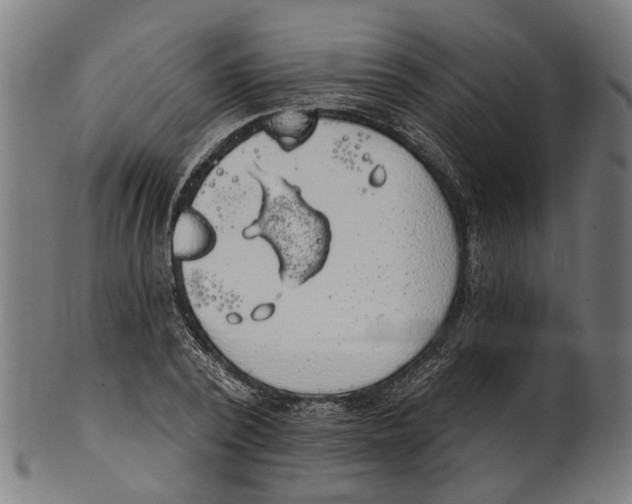 X0000100870784200807111317