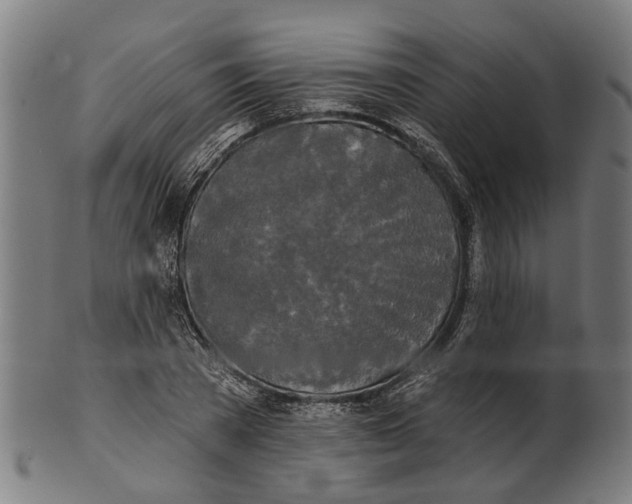 X0000100870785200807111317