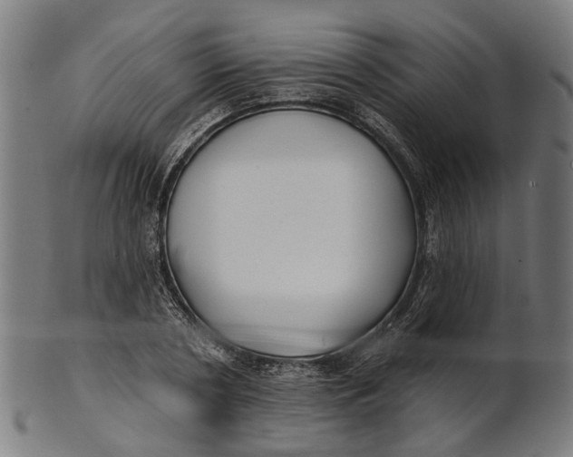 X0000100870786200807111317