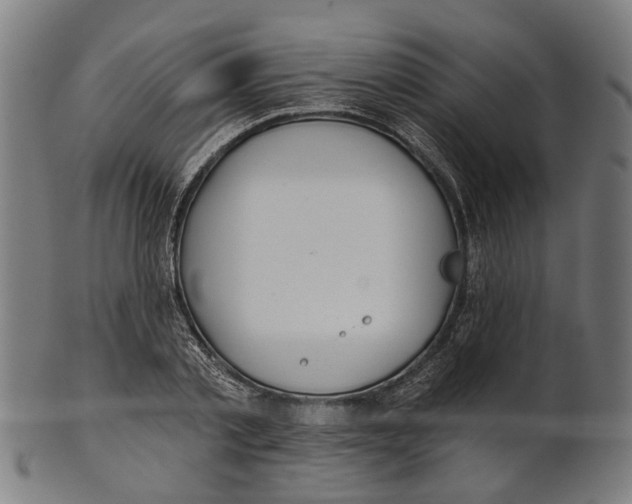 X0000100870789200807111317