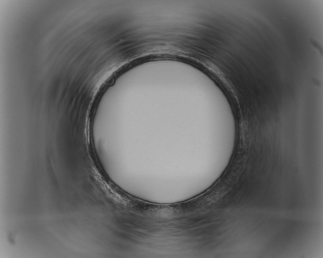 X0000100870791200807111317