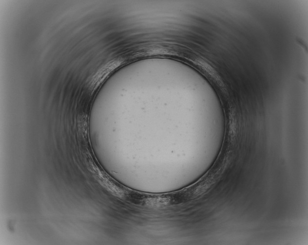 X0000100870793200807111317