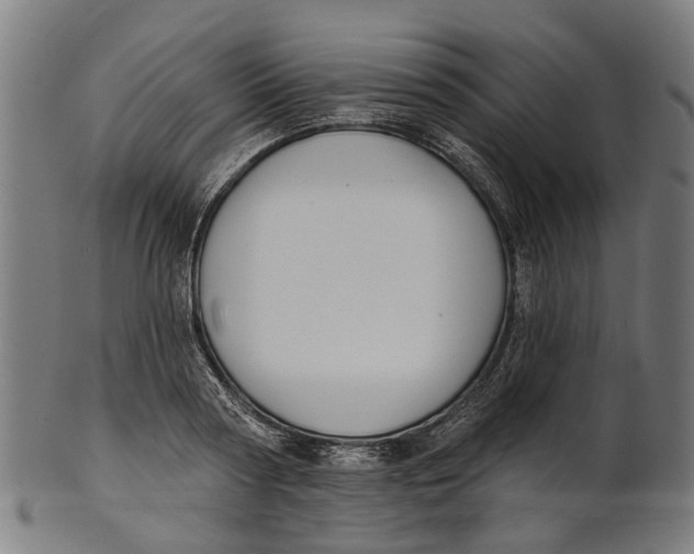 X0000100870794200807111317