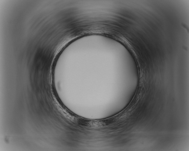 X0000100870795200807111317