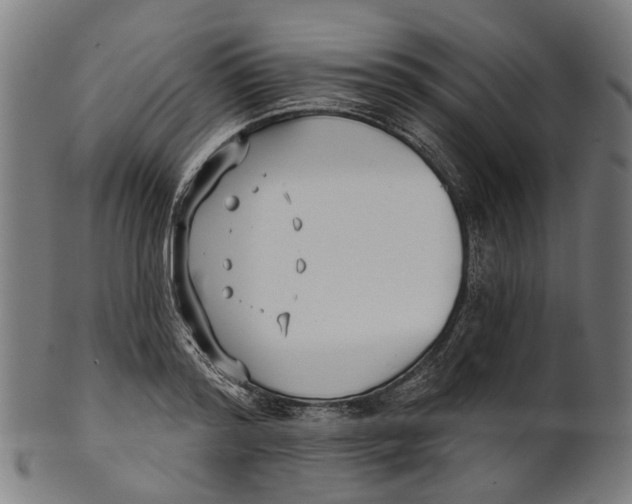 X0000100870796200807111317