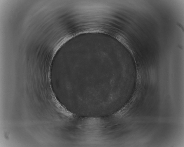 X0000100870797200807111316