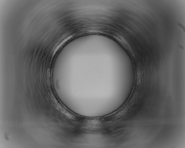 X0000100870798200807111316