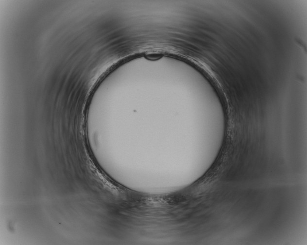 X0000100870799200807111316