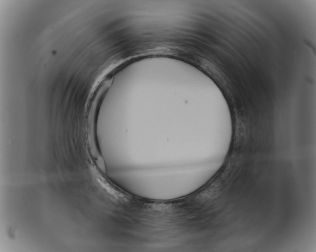 X0000100870800200807111316