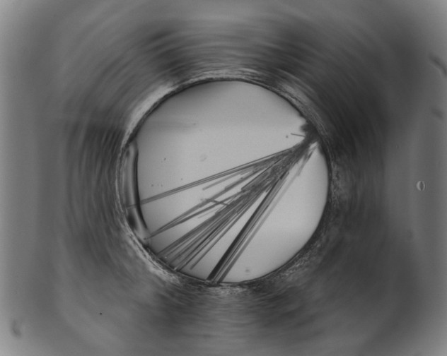 X0000100870804200807111316