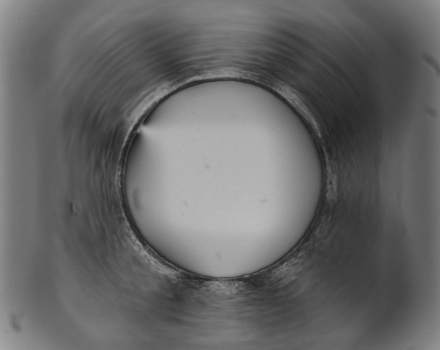 X0000100870805200807111316