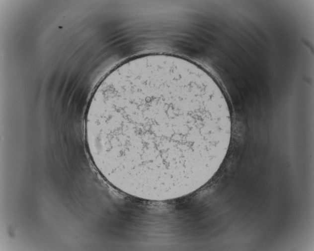 X0000100870807200807111316