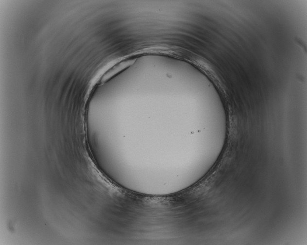 X0000100870808200807111316