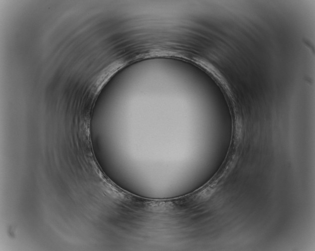 X0000100870809200807111316