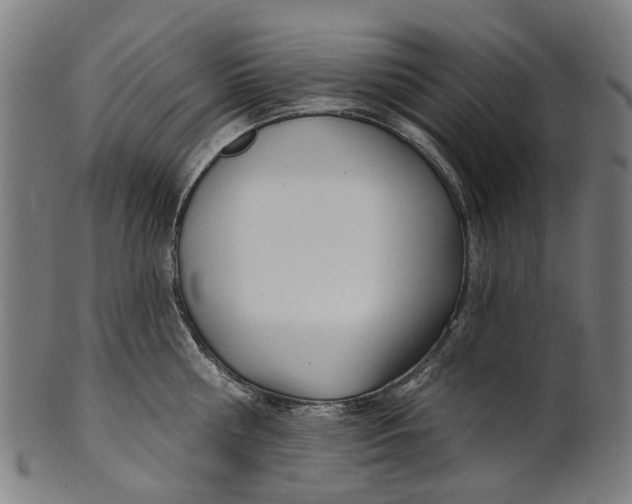 X0000100870810200807111316