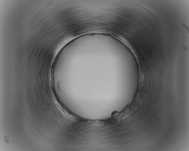 X0000100870811200807111316