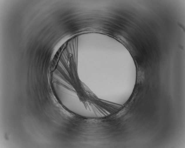 X0000100870812200807111316