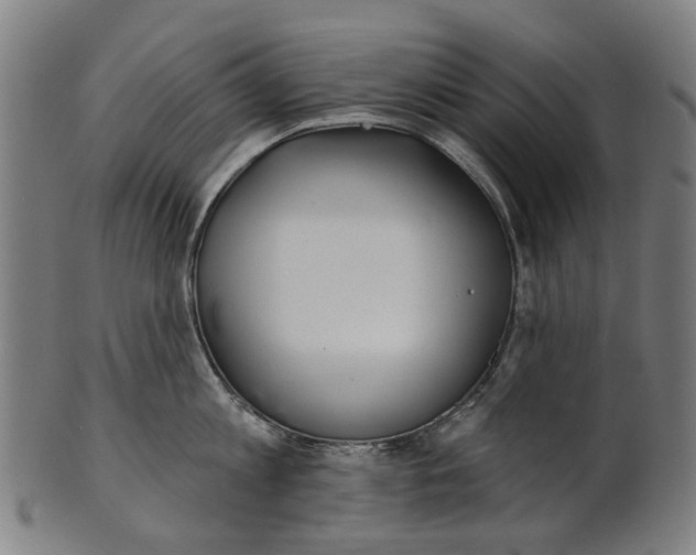 X0000100870813200807111316