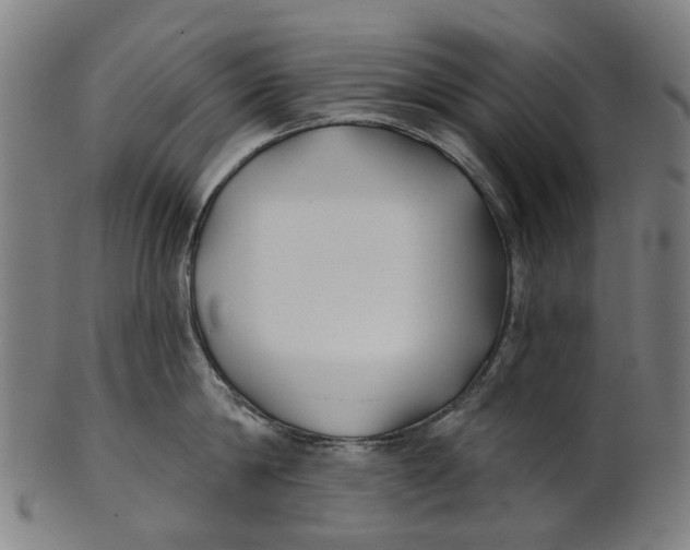 X0000100870814200807111316