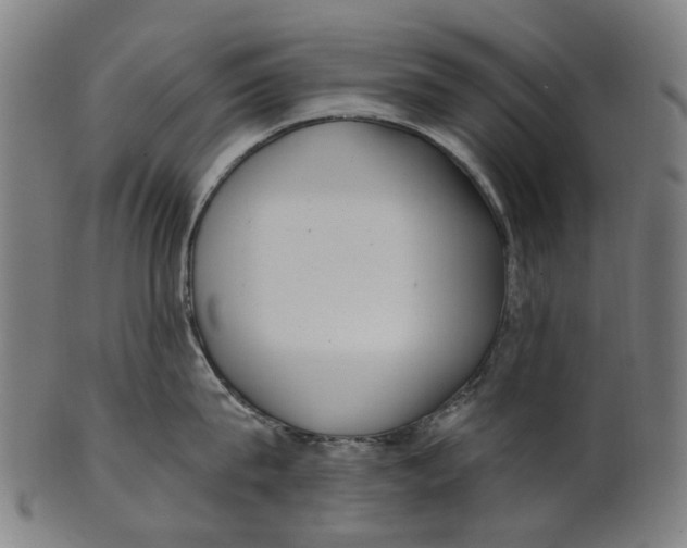 X0000100870815200807111316