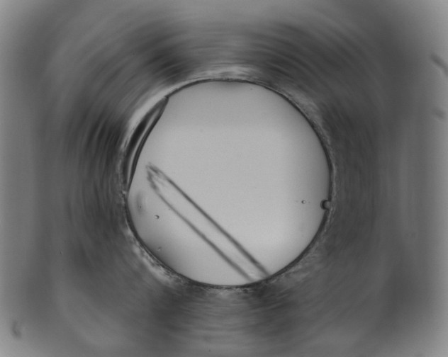 X0000100870816200807111316