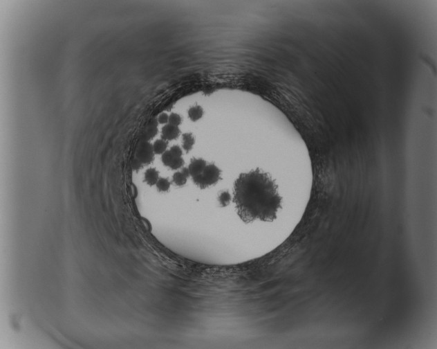 X0000100870817200807111315