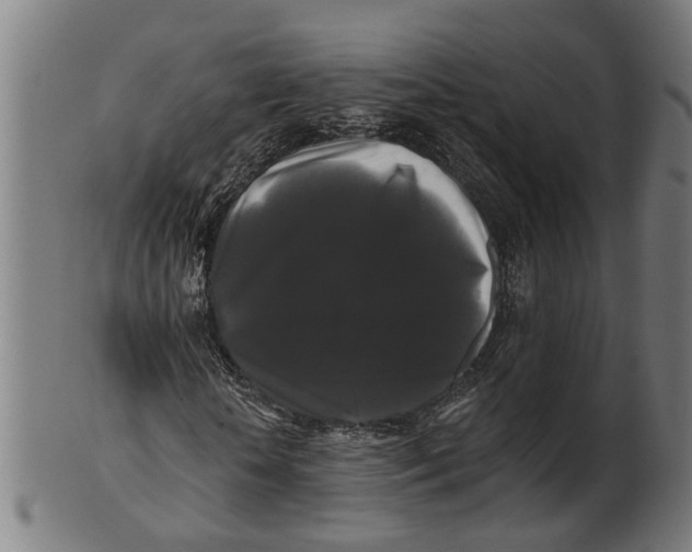 X0000100870818200807111315