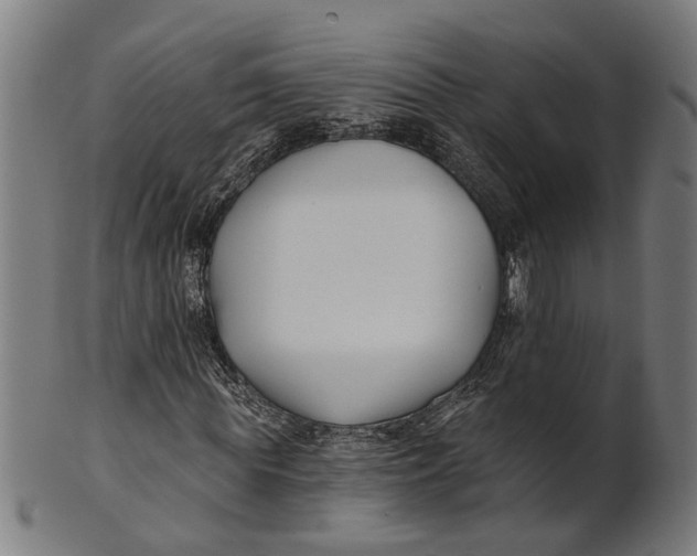 X0000100870819200807111315