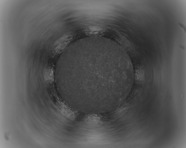 X0000100870820200807111315