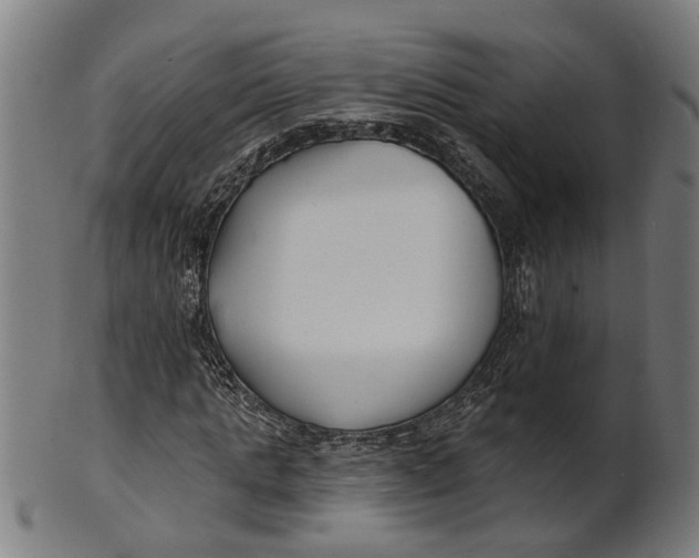 X0000100870821200807111315