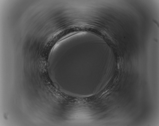 X0000100870822200807111315