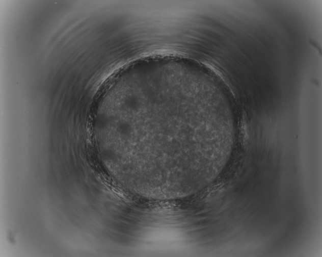 X0000100870823200807111315