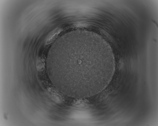 X0000100870824200807111316