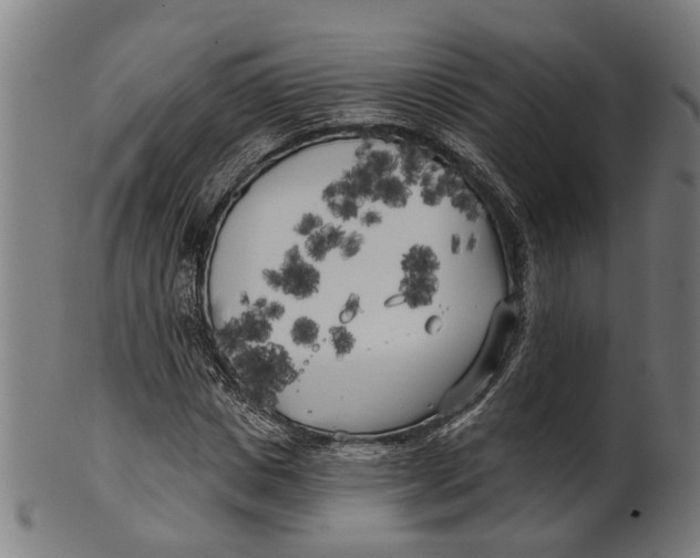 X0000100870825200807111316