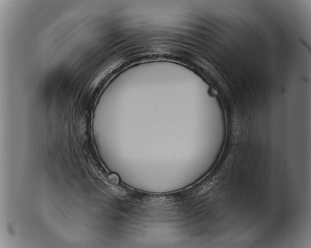 X0000100870826200807111316