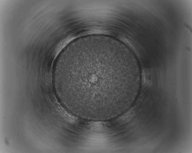 X0000100870828200807111316