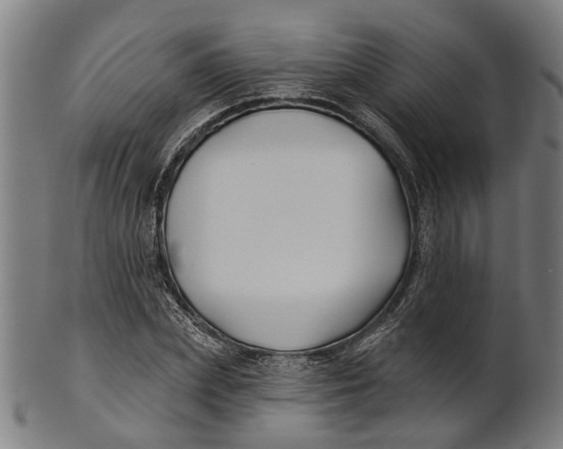 X0000100870831200807111316