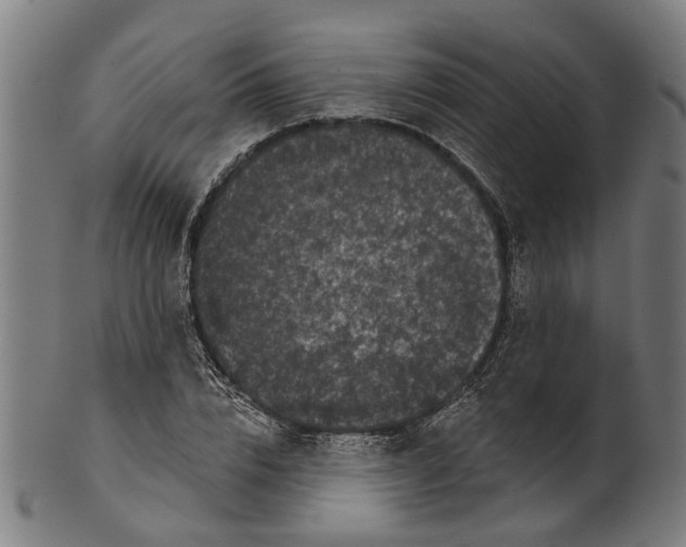 X0000100870832200807111316