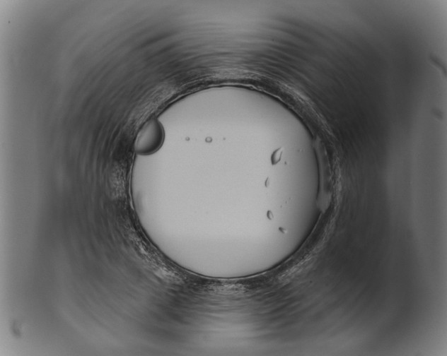 X0000100870833200807111316