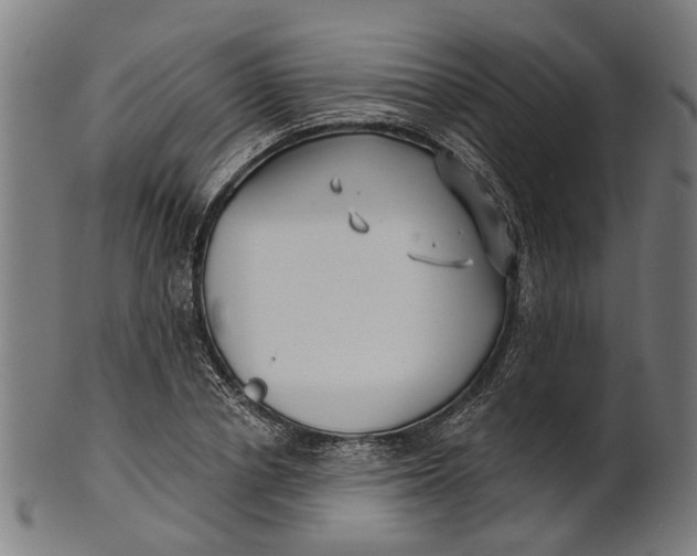 X0000100870834200807111316