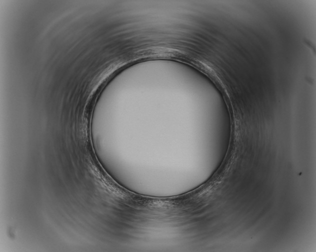 X0000100870835200807111316