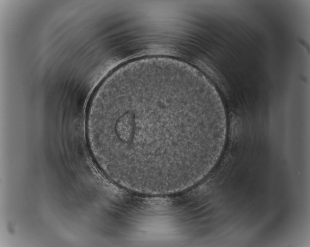 X0000100870836200807111316