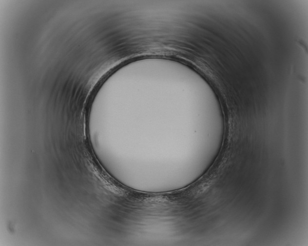 X0000100870838200807111316