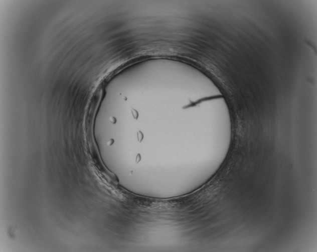 X0000100870840200807111316