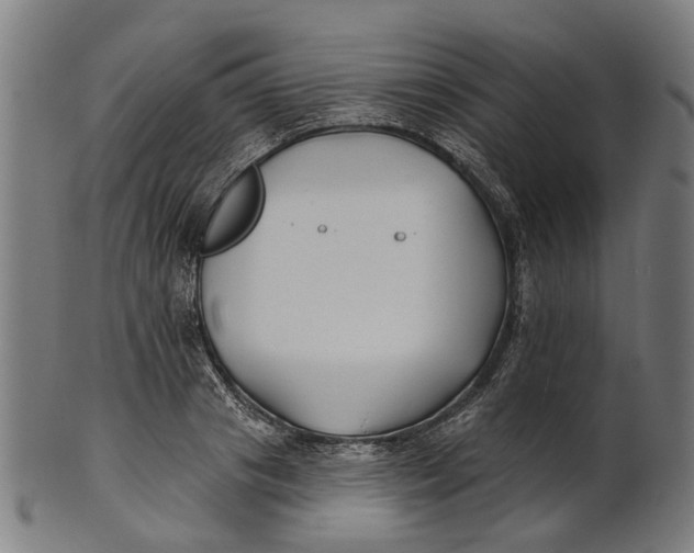 X0000100870841200807111316