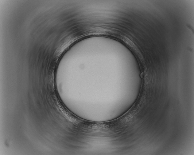 X0000100870842200807111316