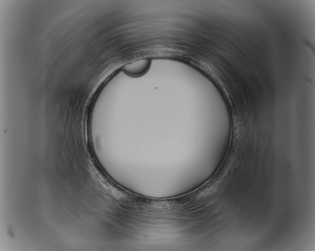 X0000100870843200807111316